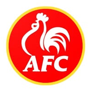 American Fried Chicken